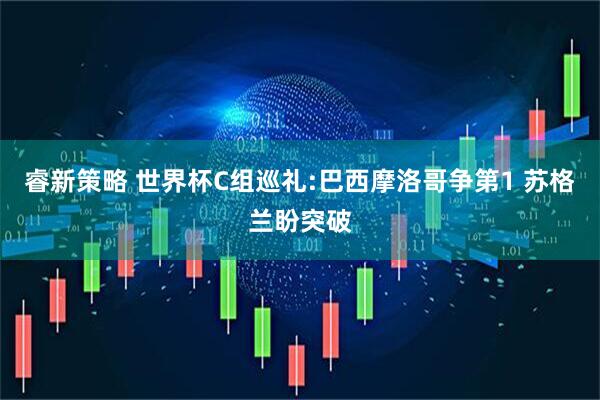 睿新策略 世界杯C组巡礼:巴西摩洛哥争第1 苏格兰盼突破